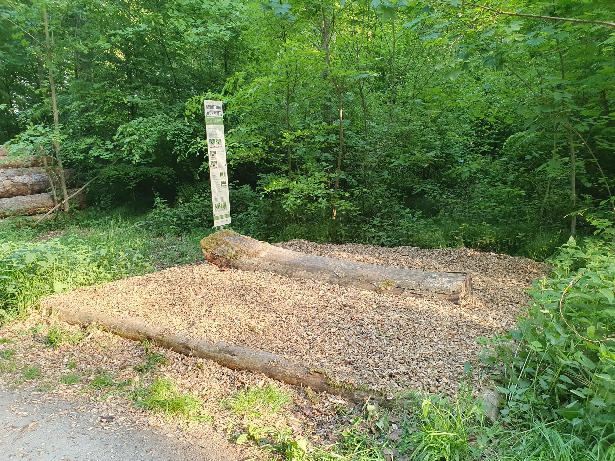 Station des Baumstamm Workouts